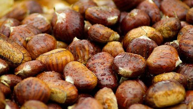 Castagne perfette? Usa il trucco di Bruno Barbieri!