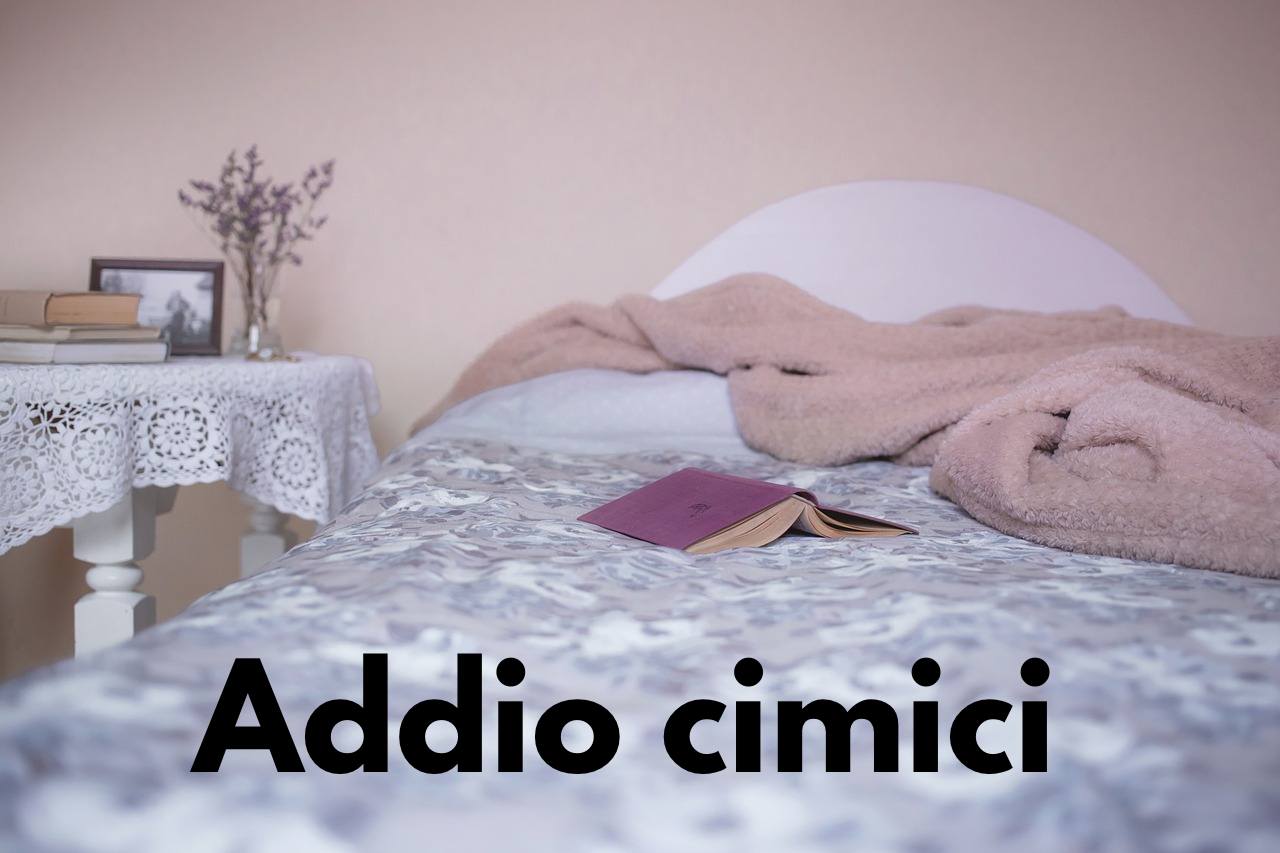 Cimici sul letto? Digli addio veramente così