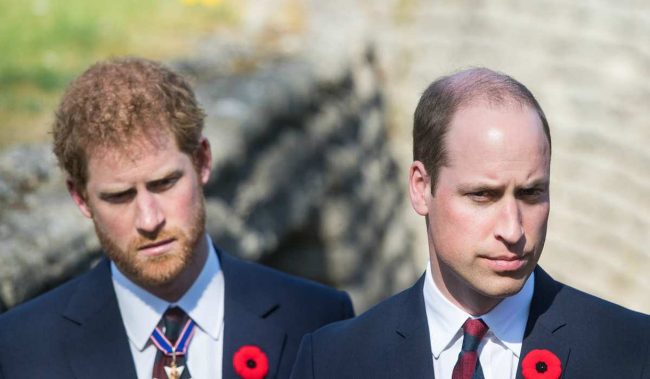 Harry e William: svelato il motivo shock del litigio