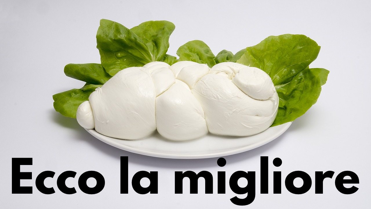 Mozzarella di bufala: devi comprare assolutamente queste