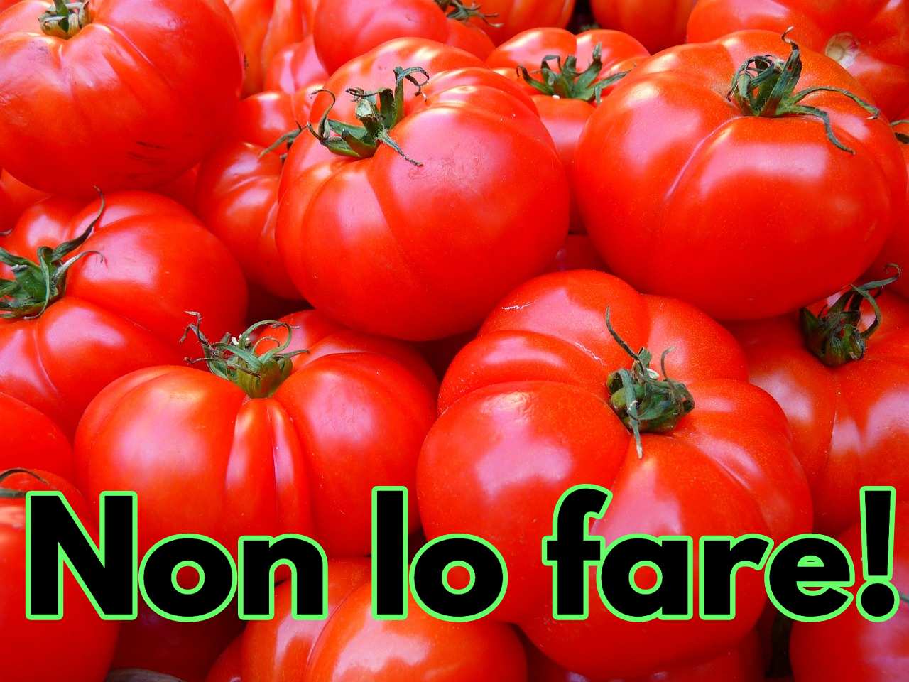 Pomodori nel frigorifero? Non commettere questo banale errore