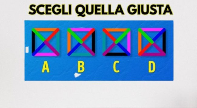 sei intelligente dimostralo risposta radio7