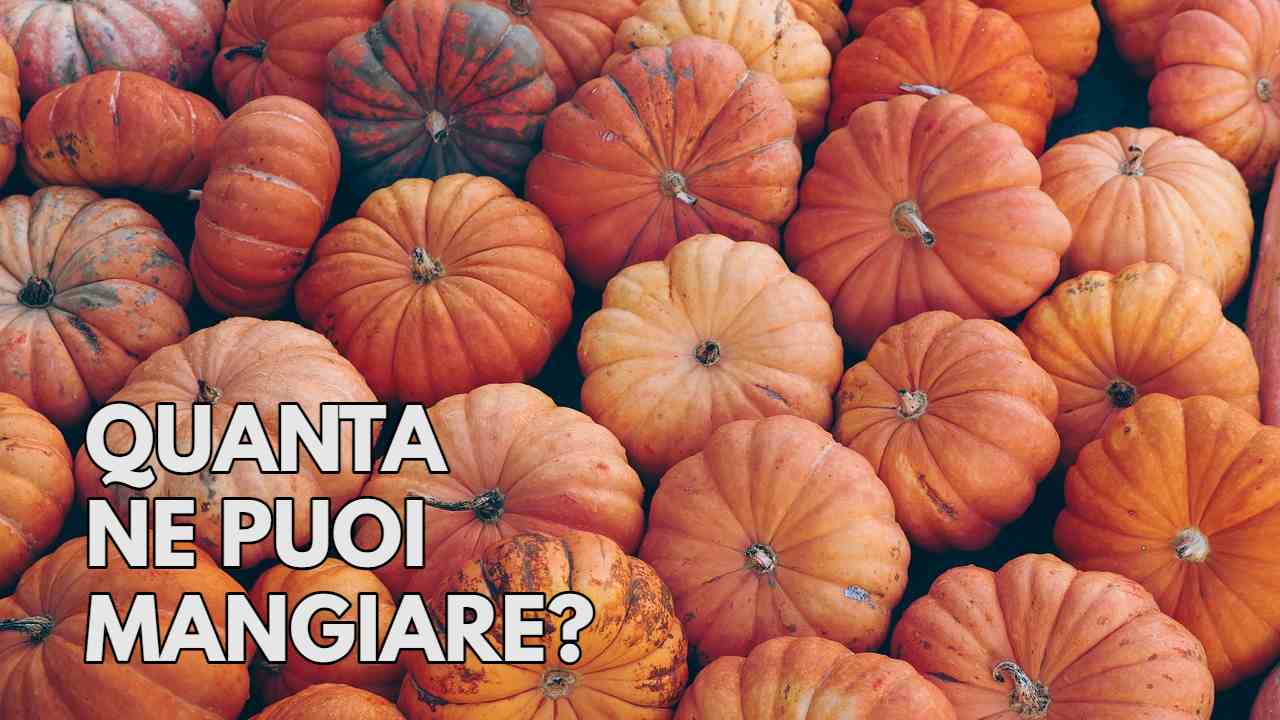 zucca quanta ne puoi mangiare