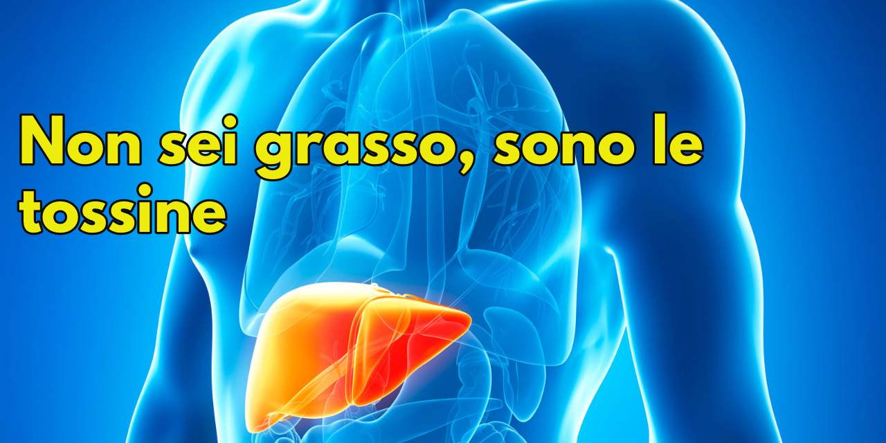 🍝 Tecken på att du är full av gifter 🤢 och att du inte går ner i vikt