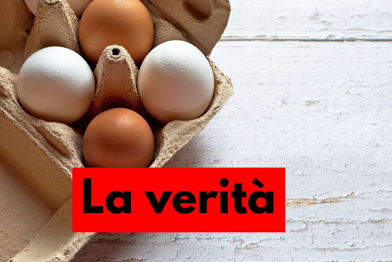 Uova bianche o marroni? Il segreto che nessuno conosce