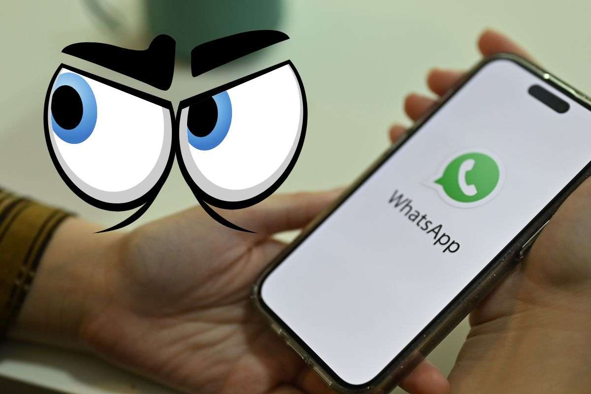 WhatsApp: arrivano i messaggi top secret | Ecco cosa succede
