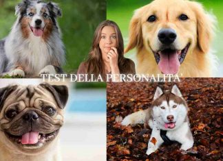 test personalità