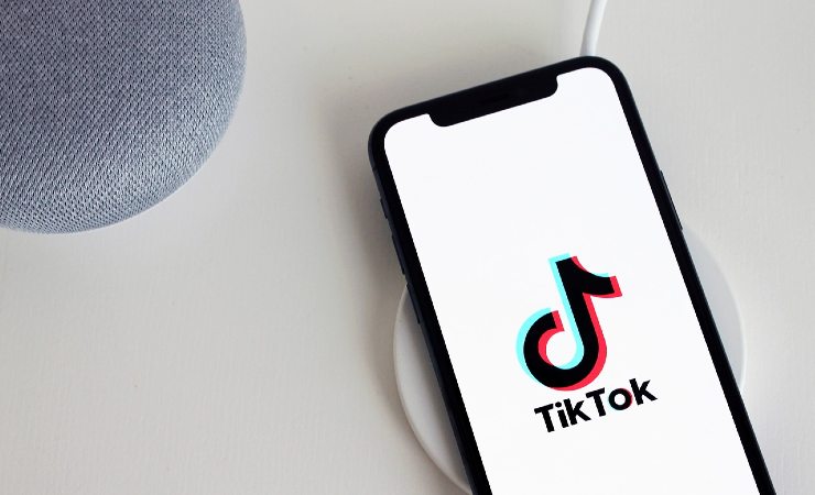 TikTok visualizzazioni pilotate