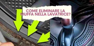 muffa in lavatrice