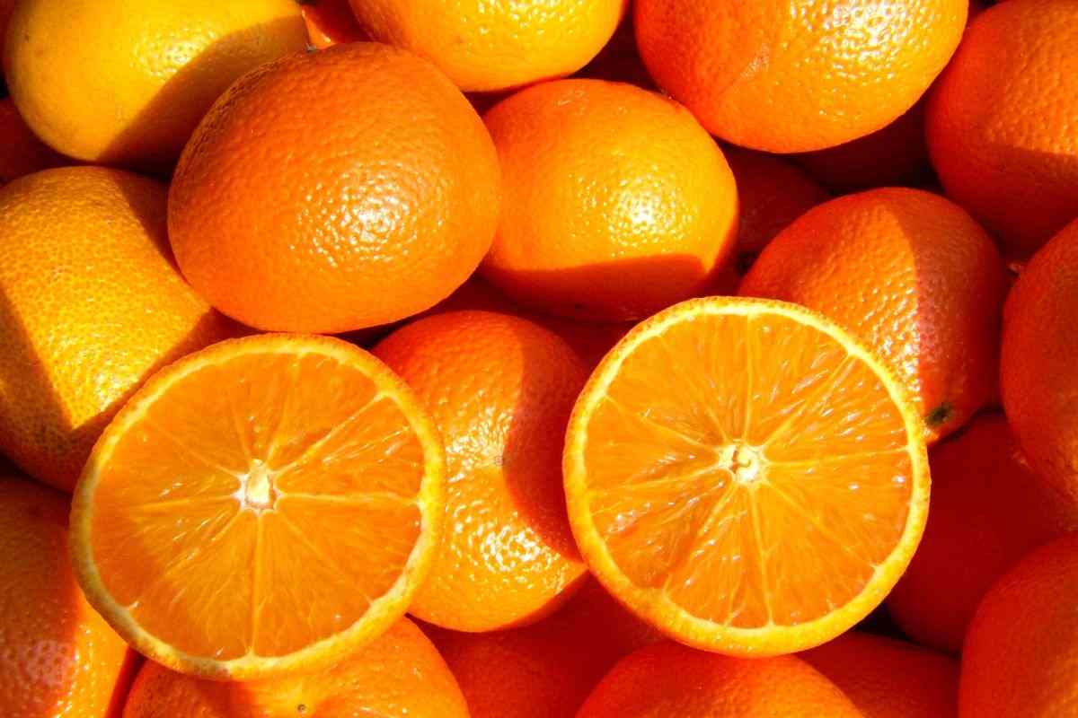 come conservare le arance 
