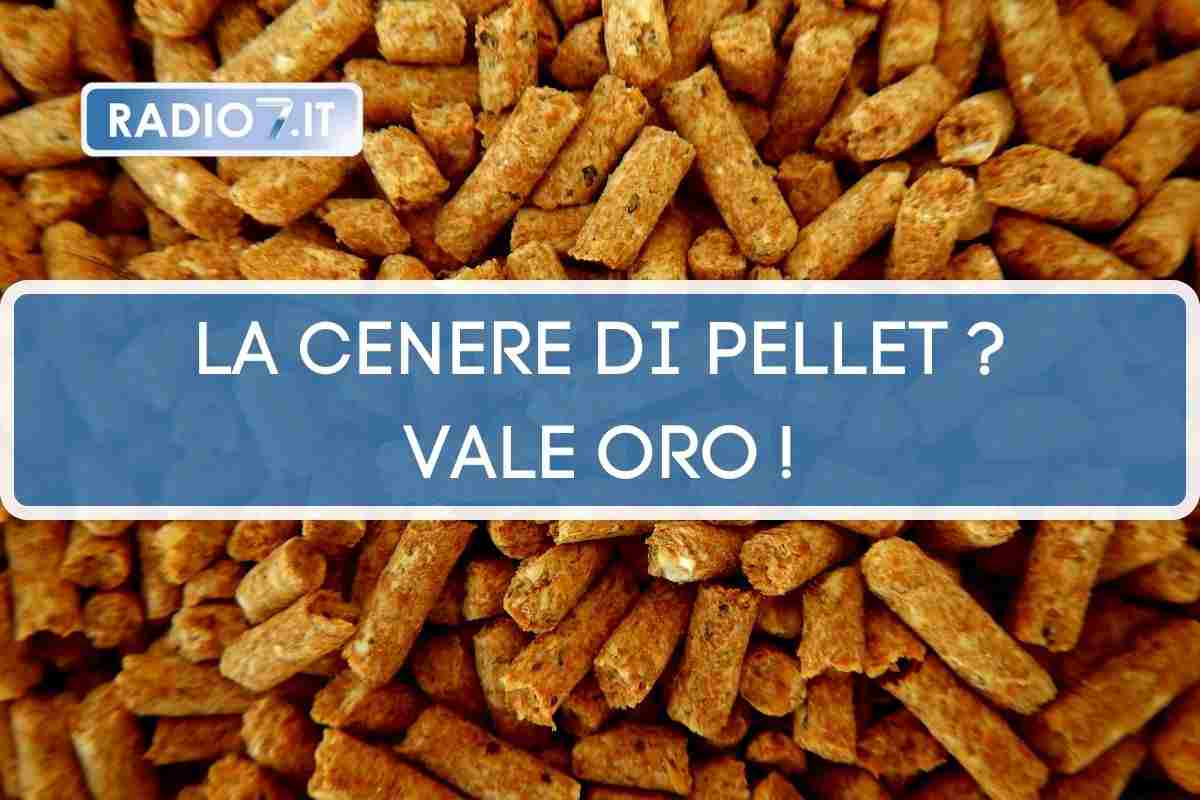 usi cenere pellet