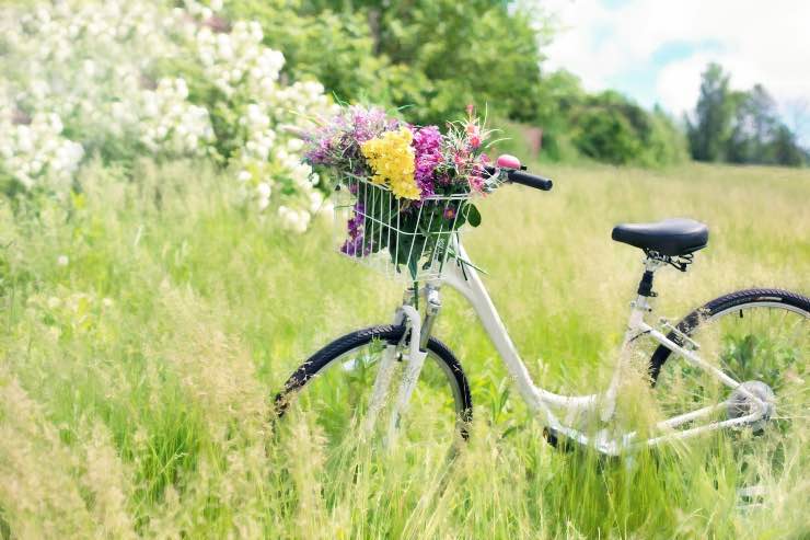 Itinerari in bicicletta, i consigli per partire preparati 