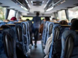 Bus