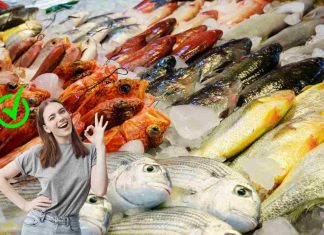 Le varietà di pesce più economiche e facili da cucinare