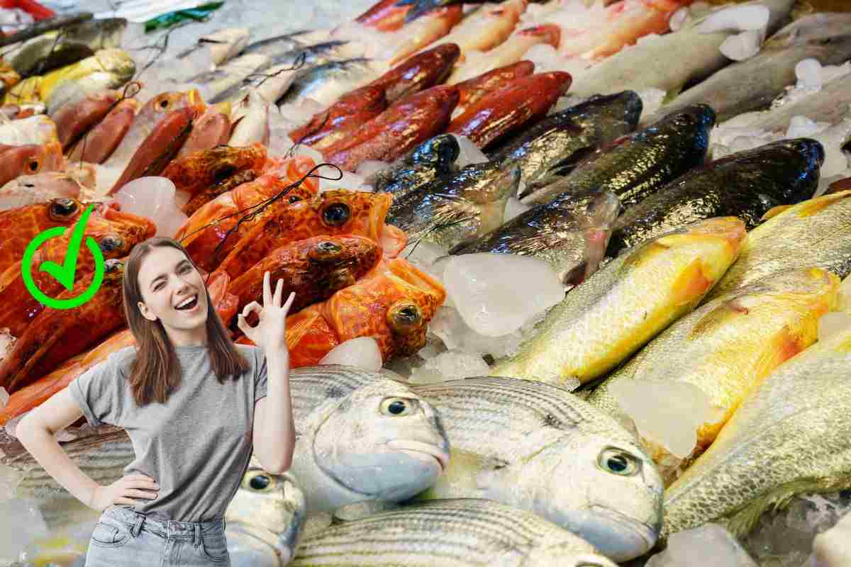 Le varietà di pesce più economiche e facili da cucinare