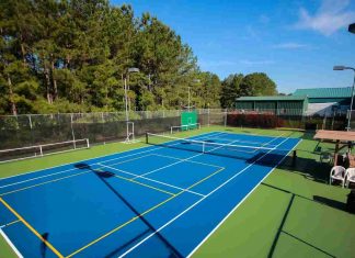 Pickleball sport