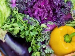 In cosa consiste la dieta flexarian