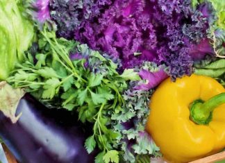 In cosa consiste la dieta flexarian
