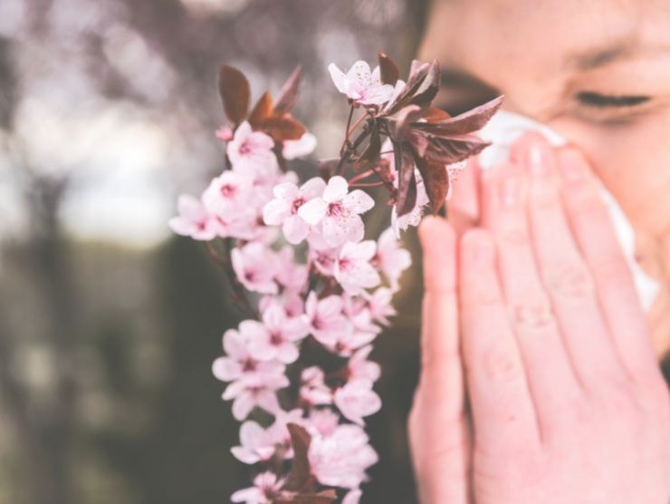 allergia al polline sintomi e cure