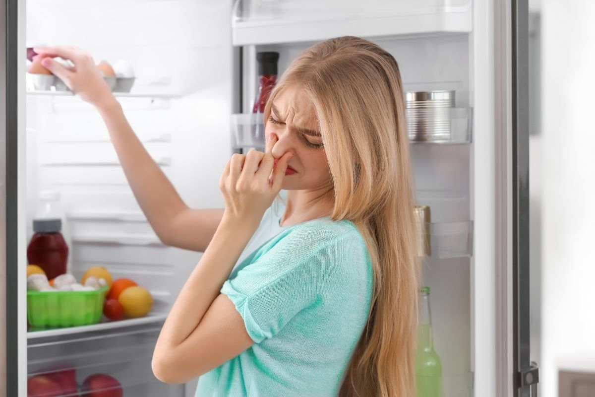 rimedio cattivi odori frigorifero