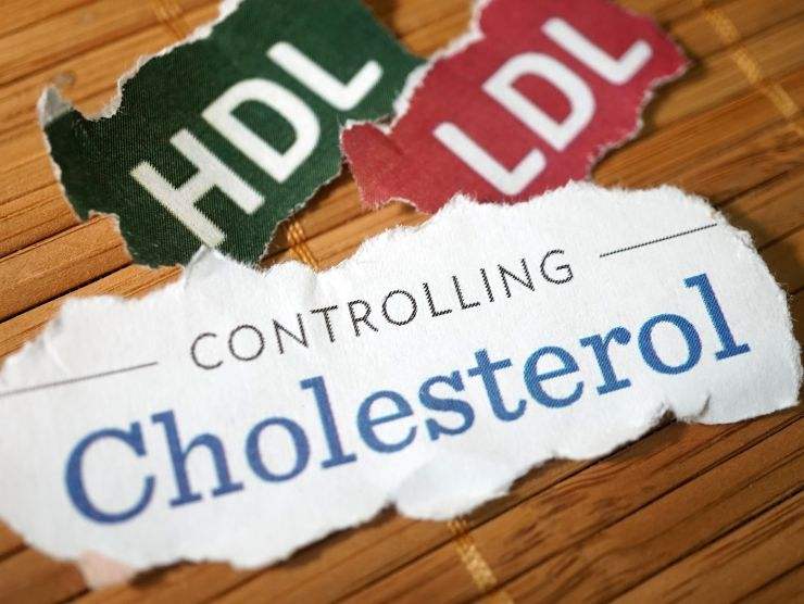 alimento riduzione colesterolo