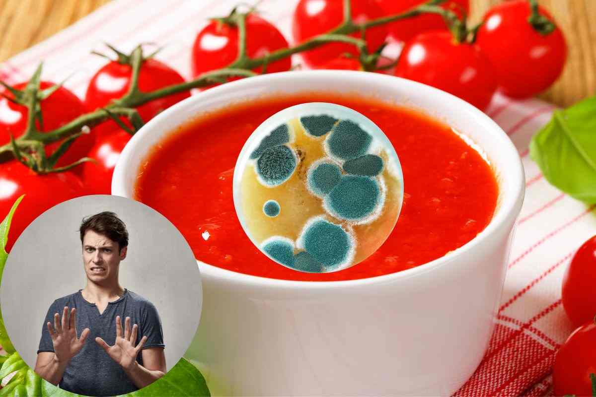 come conservare passata pomodoro