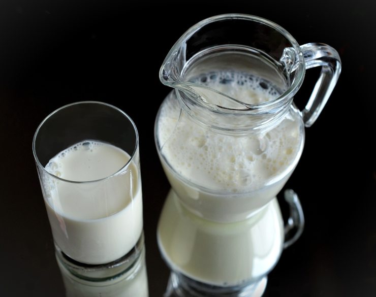 Latte, differenze con le bevande vegetali 