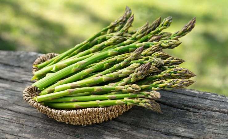 verdura dieta asparagi