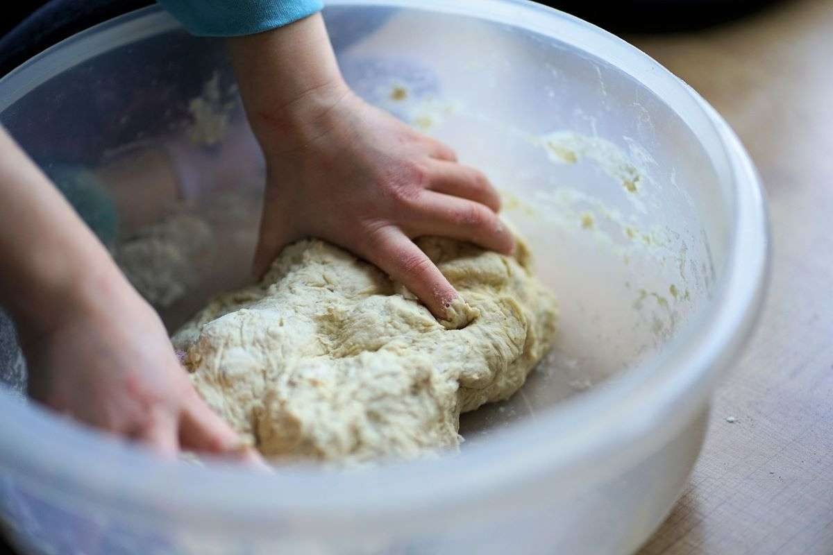 pane pasta quale fa più ingrassare