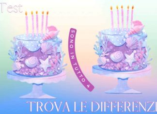 Test visivo torta differenze
