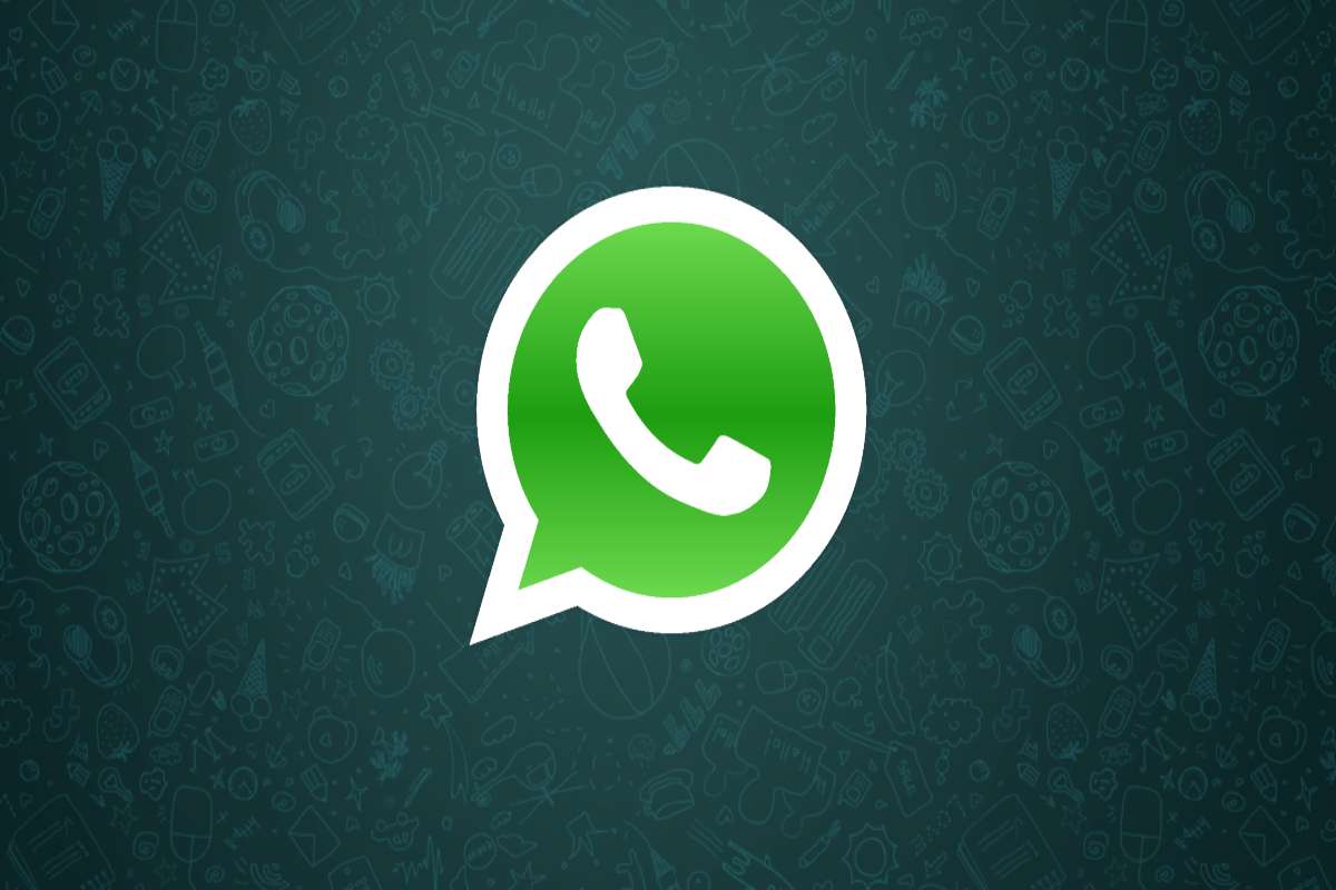 Whatsapp icona e privacy