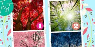 test albero emozione personalità