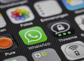 whatsapp su android